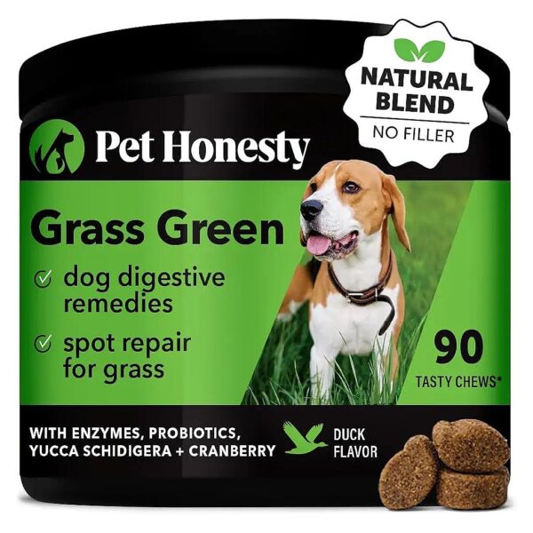 Dog Urine Neutralizer for Lush and Healthy Grass