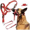 Dog Walking Harness with Leash and Safety Strap Adjustable Head Halter for Large Red Dogs