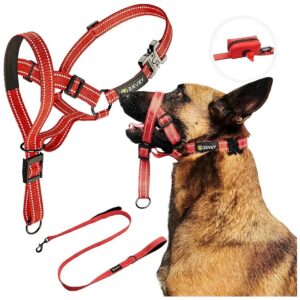 Dog Walking Harness with Leash and Safety Strap Adjustable Head Halter for Large Red Dogs