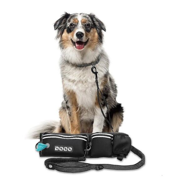 Dog Walking Leash with Comfortable Waist Belt and Padded Handles for Medium-Large Breeds