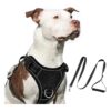 Dog Walking and Running Vest Harness with Adjustable Straps for Small Medium Large Pets