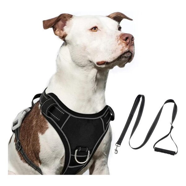 Dog Walking and Running Vest Harness with Adjustable Straps for Small Medium Large Pets