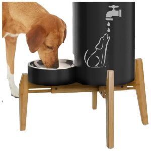 Dog Water and Food Dispenser Stand - Adjustable Width Holder for Medium Size Feeder Bowls