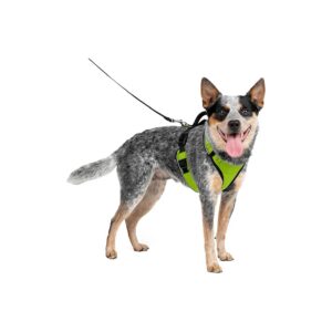 Dog Waterproof Harness with Padded Comfort and Top Control for Medium-Sized Active Pets