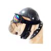 Dog Wellbeing Medium Black Dog Hat with Goggles for UV and Wind Protection