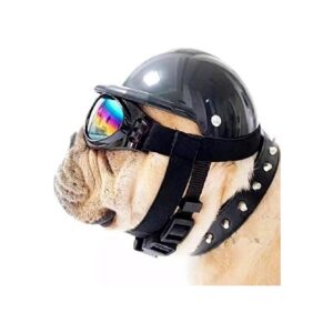 Dog Wellbeing Medium Black Dog Hat with Goggles for UV and Wind Protection