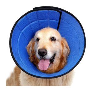 Dog Wellness Recovery Cone, Sturdy Leathaire and Soft Cotton for Wound Protection