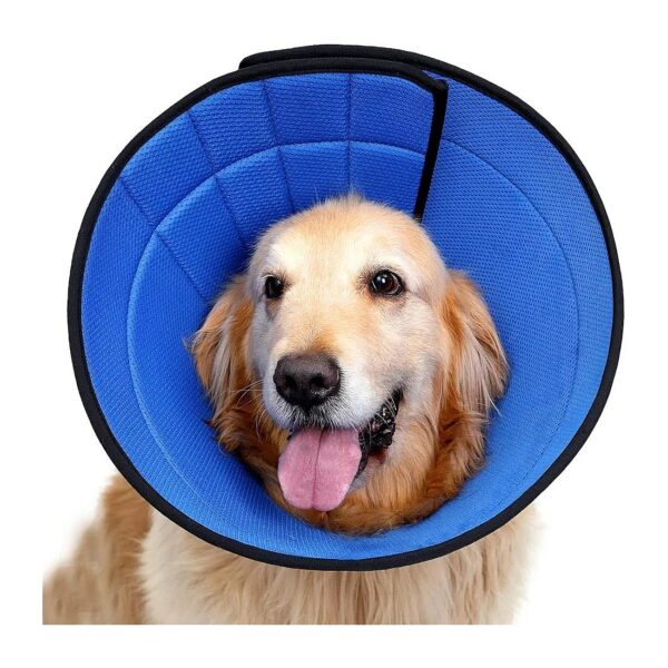 Dog Wellness Recovery Cone, Sturdy Leathaire and Soft Cotton for Wound Protection