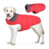 Dog Winter Coat with Leash Hole, Fleece Lined, Windproof, and Waterproof