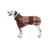 Dog Winter Jacket for Small Medium Large Dogs with High Collar and Windproof Fabric