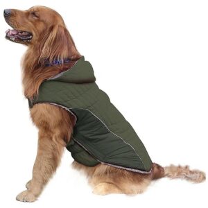 Dog Winter Jackets with Detachable Hats for Small Medium Large Dogs