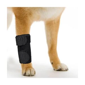 Dog Wound Protection Sleeve Stops Licking and Prevents Infections