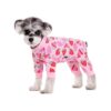 Dog and Cat Recovery Suit with Absorbent Pads and Zipper Closure for Easy Cleaning