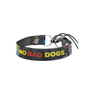 Dogtra Compatible Bungee Collar with 3/4" Inch Strap and Easy to Use Design