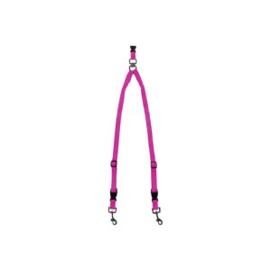 Double Buddy Leash System for Small Pink Dogs with Buddy System