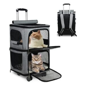 Double-Compartment Carrier for Two Small Pets, Durable and Ventilated