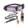 Double-Compartment Hands-Free Dog Leash with Poop Bag Dispenser and Reflective Cord