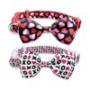 Double-Pack Veggie-Heart and Candy-Heart Dog Collars for Small to Medium-Sized Pets