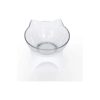 Double Pet Feeding Bowl with Tilted Design and Elevated Stand for Cats and Small Dogs