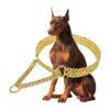 Double Row Chain Dog Collar for Small Medium Large Dogs with 18K Gold Plating