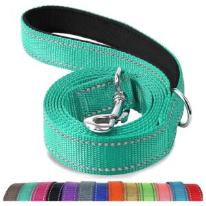 Double Sided Reflective Nylon Dog Leash for Medium and Large Dogs Walking