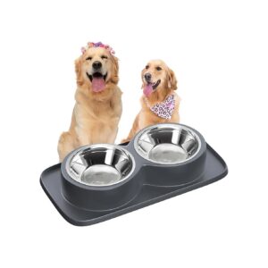 Double Stainless Steel Dog Bowls with Non-Skid Feeding Mat for Easy Meals