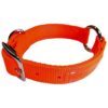 Double Thick Safe Rite Dog Collar with Center Ring for Free-Moving 22-Inch Orange