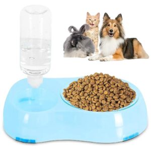 Double Transparent Slow Feeder Bowl with Gravity Water Dispenser for Cats and Dogs