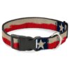 Down Dog Collar with Texas Flag CLOSE-UP Distressed Painting and Large Size