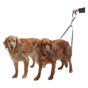 Dream Come True - Tangle-Free Dual Dog Leash for Easy Walks