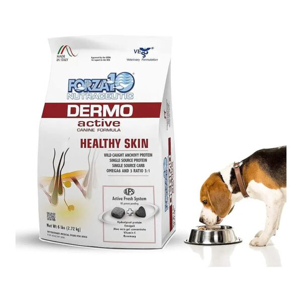 Dry Dog Food for Skin Allergies, Dermatitis, and Itchy Skin Relief