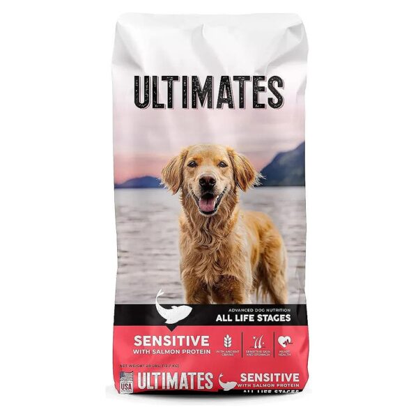 Dry Dog Food with High Quality Salmon Protein for Dogs with Sensitive Skin