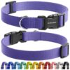 Durable 3/4 Inch Nylon Replacement Dog Collar Straps for Shock Training Dogs