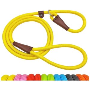 Durable 5FT Nylon Slip Lead Dog Leash for Medium and Large Dogs