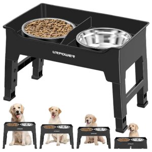 Durable Adjustable Elevated Dog Bowls with Stainless Steel Food and Water Bowls