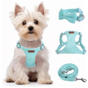 Durable Adjustable Green S Suede Harness with Pink Leash for Small Dogs