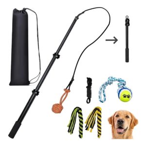 Durable Aluminum Flirt Pole with Nylon Rope for Teasing Fun with Small Medium Large Dogs