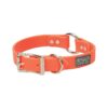 Durable Blaze Orange Dog Collar with Center Ring for Safety