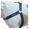 Durable Cotton Web Dog Harness for Large Dogs Adjustable Blue Xlarge Size