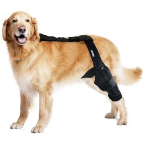 Durable Dog ACL Knee Strap Dog Braces for Cruciate Ligament Injury Support