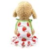 Durable Dog Clothes with Strawberry Skirt for Small Dogs XL Size