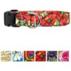 Durable Dog Collar with Permanently Bonded Printing, Rustproof Buckle, and 6 Size Options