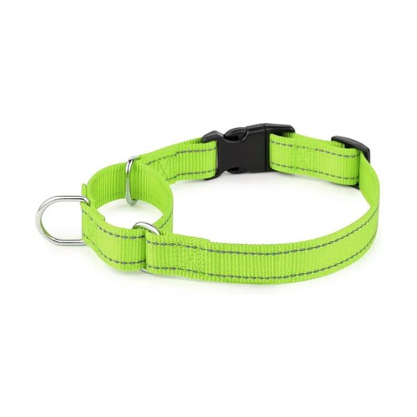 Durable Dog Training Collar with Reflective Buckle for Small Medium Large