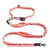 Durable Dual Handle Bungee Leashes for Medium and Large Dogs with Lifetime Warranty