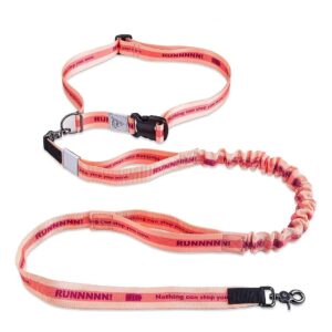 Durable Dual Handle Bungee Leashes for Medium and Large Dogs with Lifetime Warranty