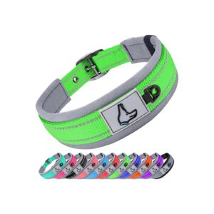 Durable Green Dog Collar with Metal Grommets and D-Ring for Strong Pulling Dogs