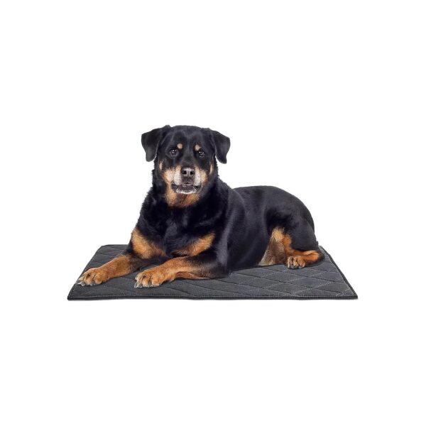 Durable Indestructible Chew Proof Dog Bed for Aggressive Chewers Medium Breed