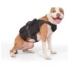 Durable Large Dog Backpack with Metal Buckles and Padded Mesh for Hiking and Camping