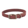 Durable Leather Dog Collar with Rustic Brass Accents and Brick Red Coloration