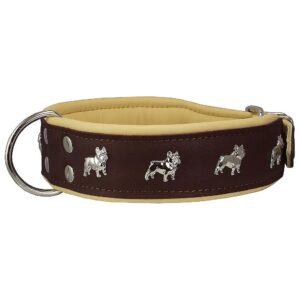 Durable Leather Dog Collar with Soft Padded Lining and Bright Colors